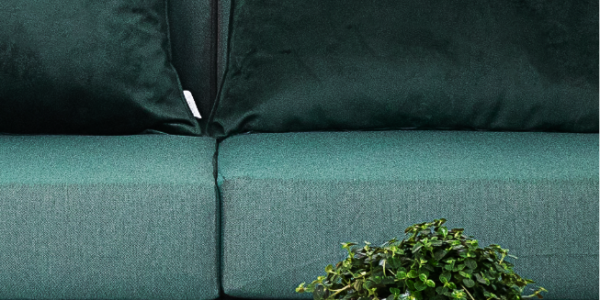 Zaproś las do swojego ogrodu